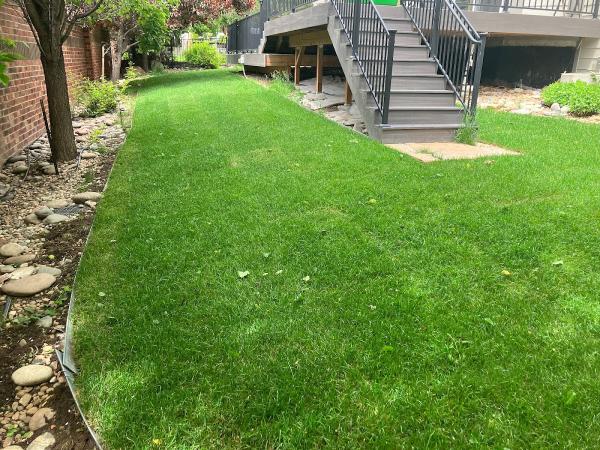 Hammer Home and Yard Care