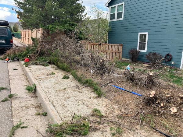 Hammer Home and Yard Care