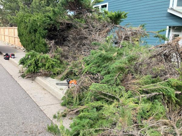 Hammer Home and Yard Care