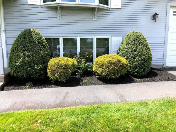 Ditullio Landscaping LLC