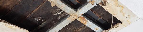 San Diego Water Mitigation