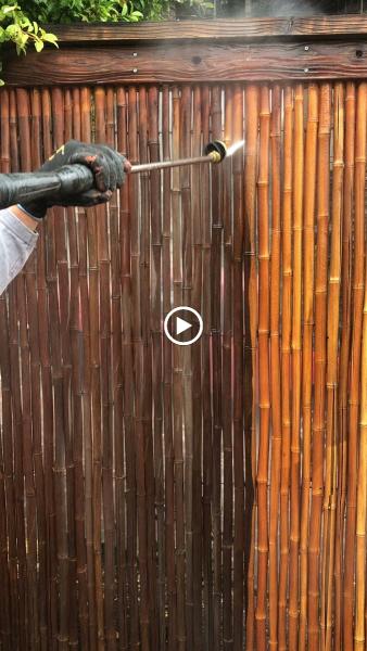 Washsh.com