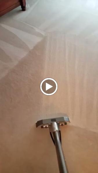 Long & Son Carpet Cleaning Inc.