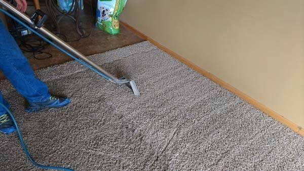 Long & Son Carpet Cleaning Inc.