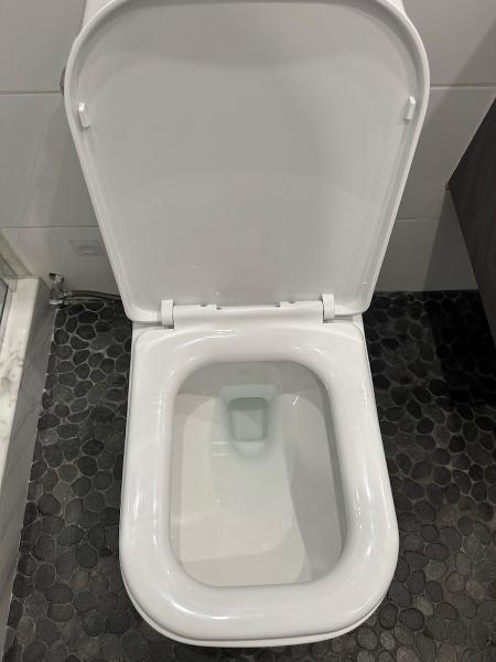 Progan Cleaning