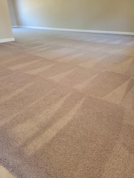 Fresh Home Cleaning Care