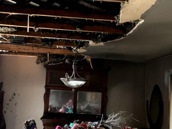Forerunner Restoration and Remodel