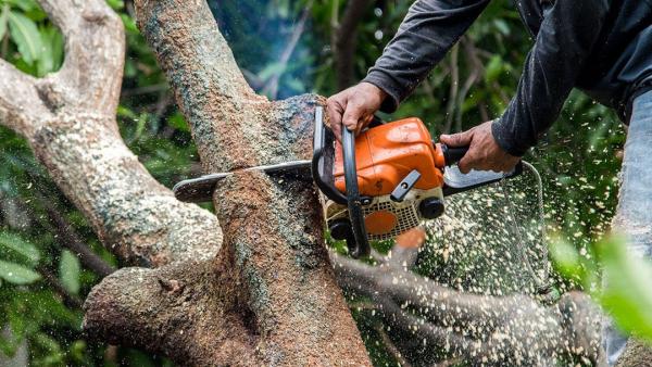 1st Rate Tree Service