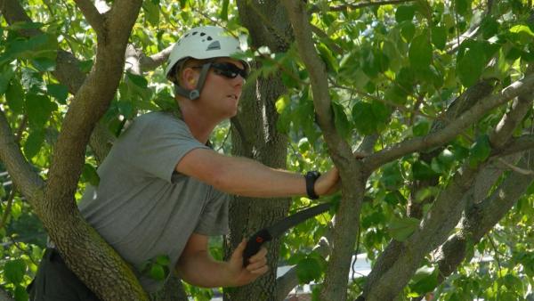 1st Rate Tree Service