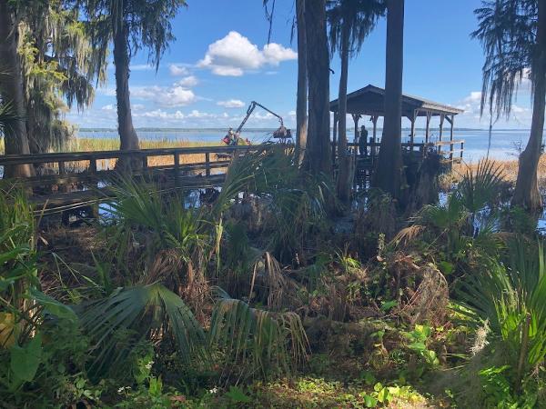 Professional Waterfront Cleanup