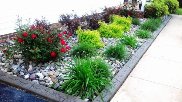 Natural Elements MD Inc