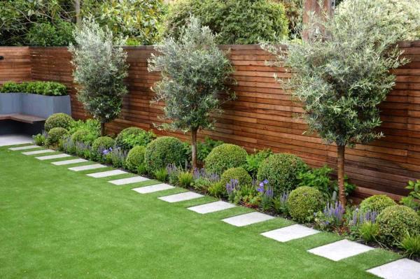 Abundant Lawn