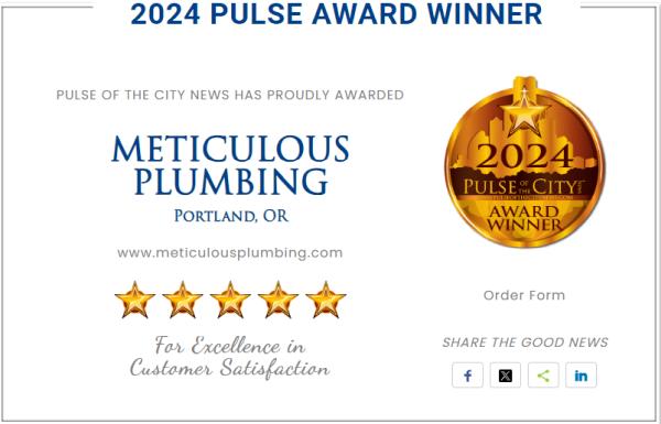Meticulous Plumbing