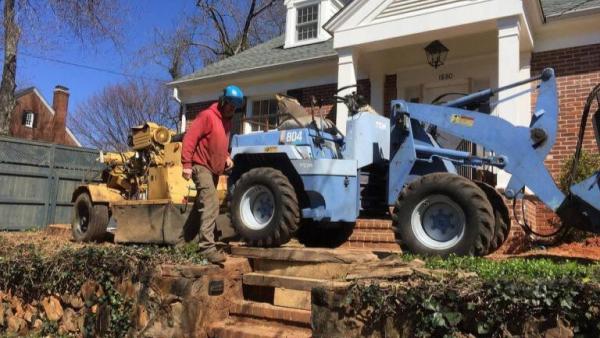 Cox's Tree Services