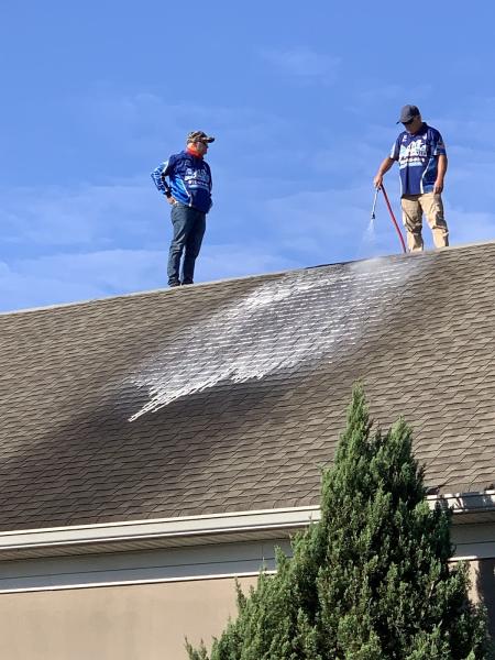 Lil' Squirt Soft Wash-Pressure Washing