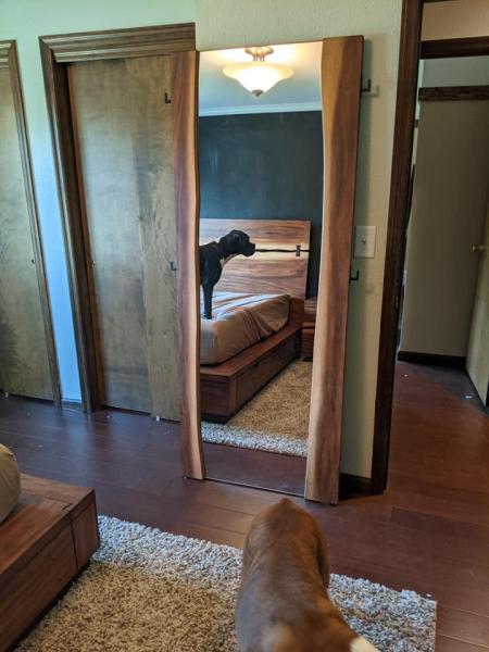 Porter Moving Company