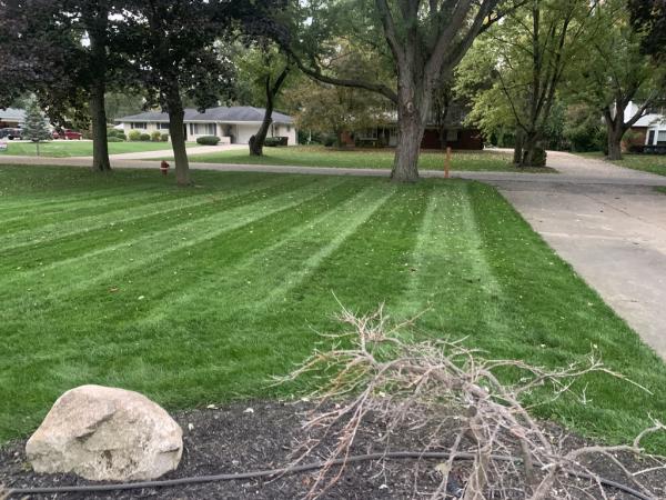 Richters Beautification