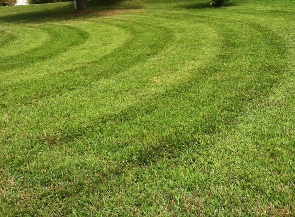 Al's Lawn Care