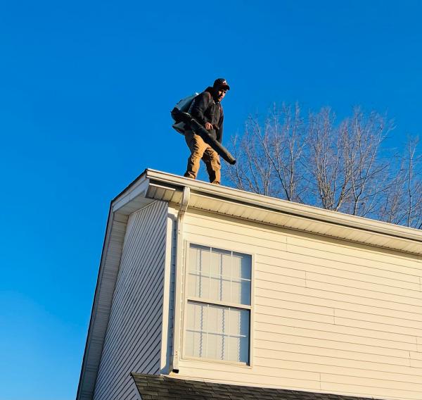 Al's Lawn Care