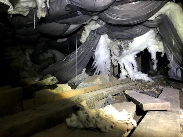 Home Shield Inspections