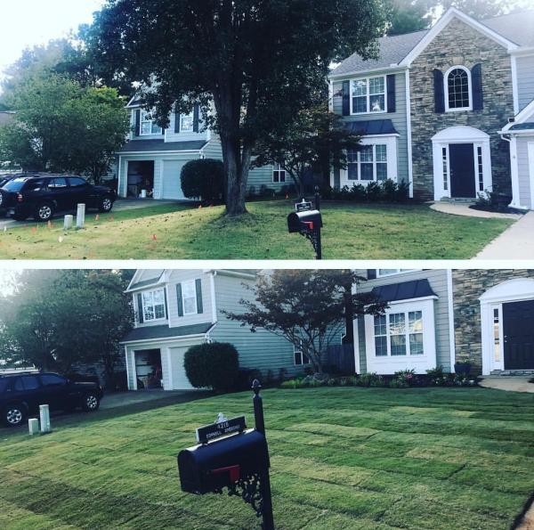 Tree Men Tree Service