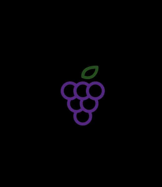 Berry Clean LLC