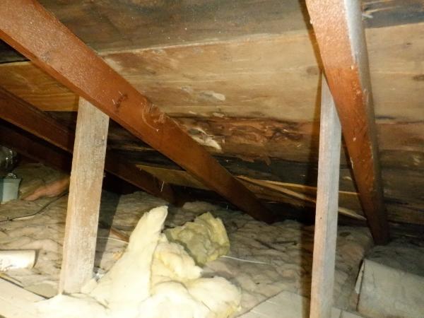 National Property Inspections
