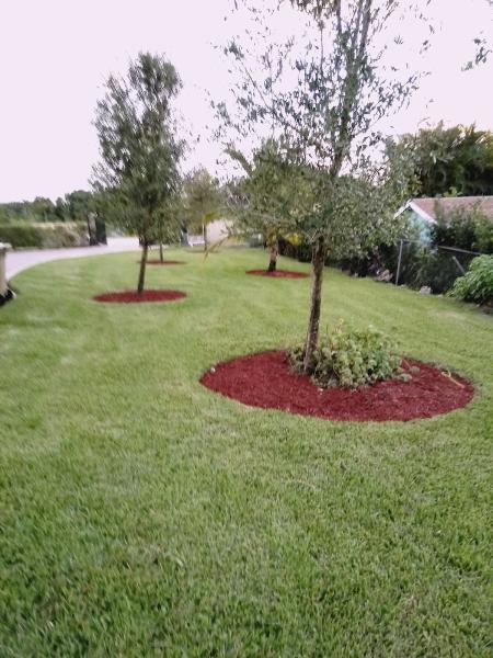 Finish Line Maintenance Services LLC