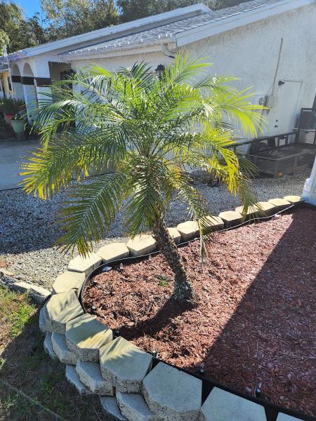 Kennedy Tree Service & Outdoor Maintenance LLC