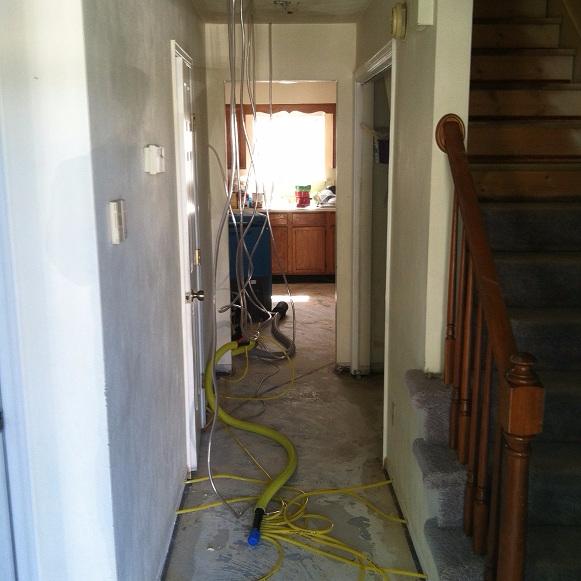 Inside Design Steam Cleaning
