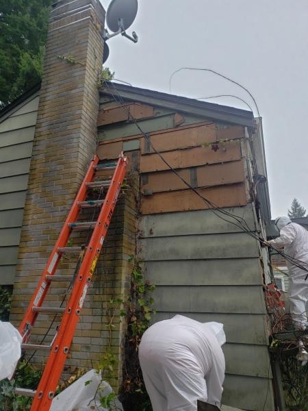 American Environmental Construction LLC