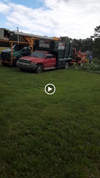 Hesdy Tree Service