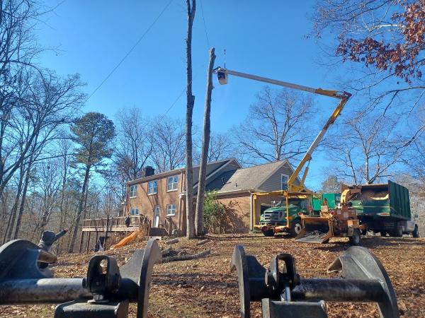 Hesdy Tree Service