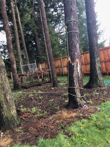 Roger's Tree Service LLC