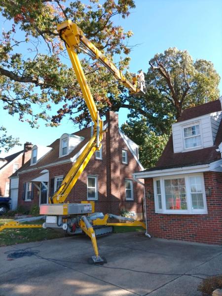 Nick's Custom Tree Service
