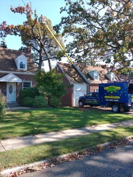 Nick's Custom Tree Service