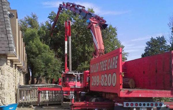 Taylor Tree Care