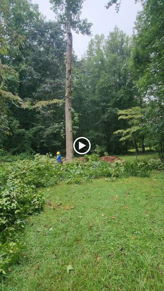 Grist Arbor Services