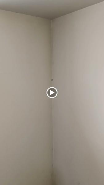 Spartan Painters & Remodeling