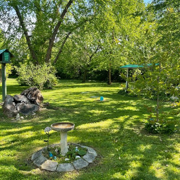 Charm City Lawn Services
