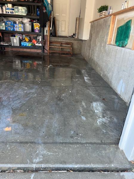 Rj's Professional Steam Cleaning