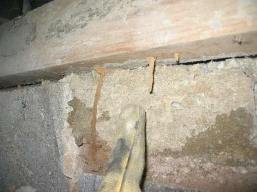 Perspective Property Inspections