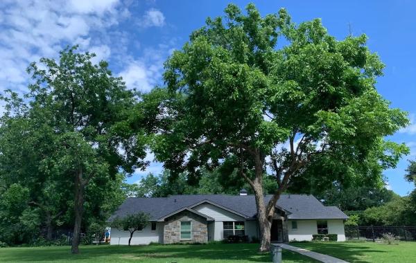 Garrett Tree Service