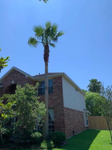 Garrett Tree Service