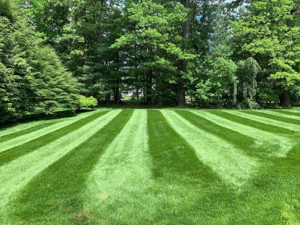 Szczur Lawn Services