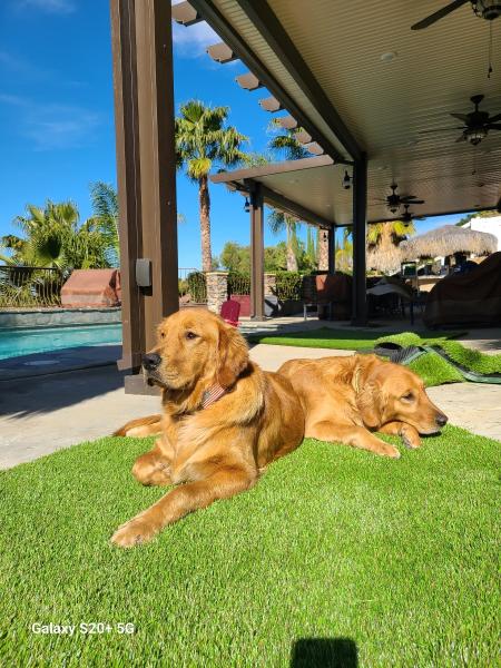 Divine Creations Landscape Inc
