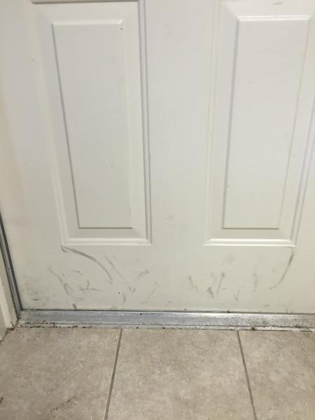 Dust B Gone