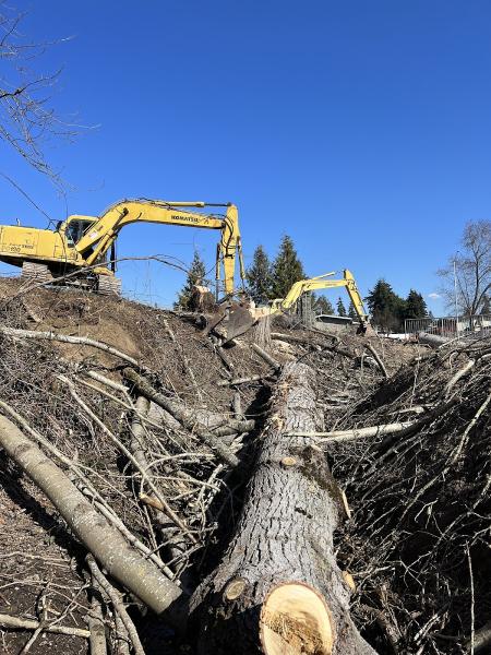 Felling Bros Tree Services LLC