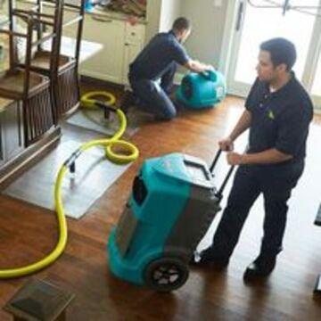 Novi Mold Inspection LLC