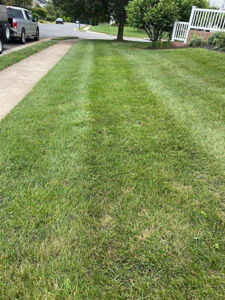 Freedom Lawn & Landscape